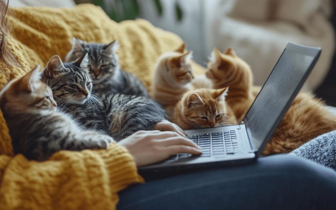 Comment obtenir l’attestation reconnue pour travailler avec les chats en ligne
