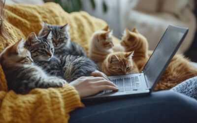 Comment obtenir l’attestation reconnue pour travailler avec les chats en ligne