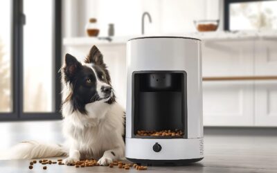 Mon chien age mange moins : faut-il changer ses croquettes ?